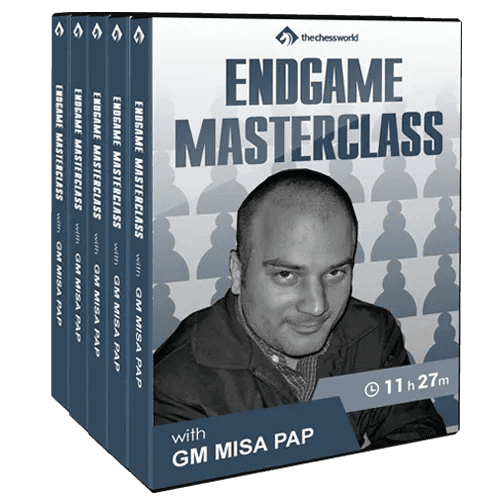 E-Dvd Endgame Masterclass With Gm Misa Pap