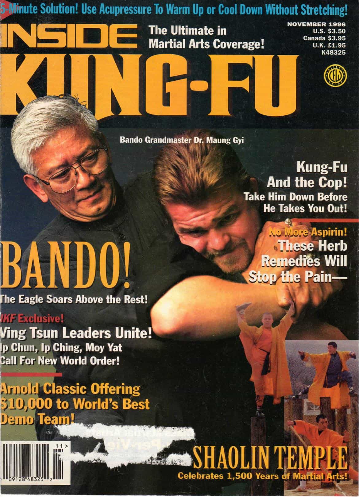 Digital Magazine Inside Kung Fu November 1996 96/11 *Collectible*