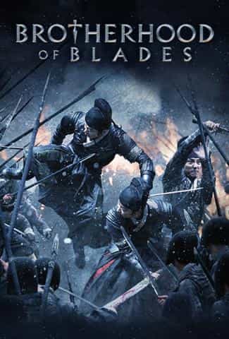 Brotherhood Of Blades - Kung Fu Martial Arts Action Movie Dvd Subtitled