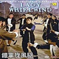 Lady Whirlwind Dvd Martial Arts Kung Fu Angela Mao Ying, Chang Yi, Sammo Hung