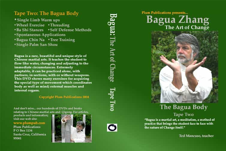 Chinese Bagua Art Of Change #2 Dvd Ted Mancuso Eight Changing Palms Kung Fu