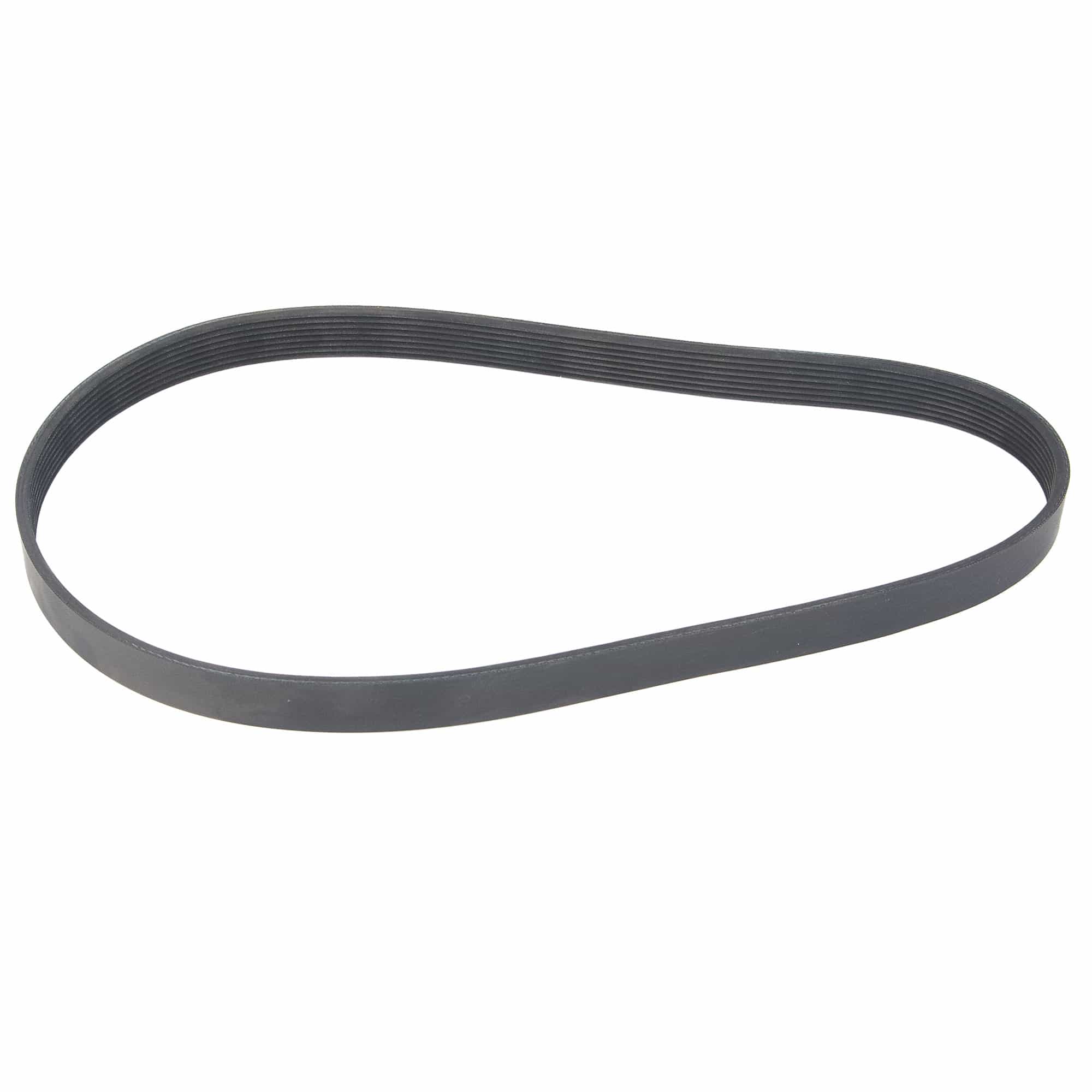 Belt Poly-V Jason, Scifit