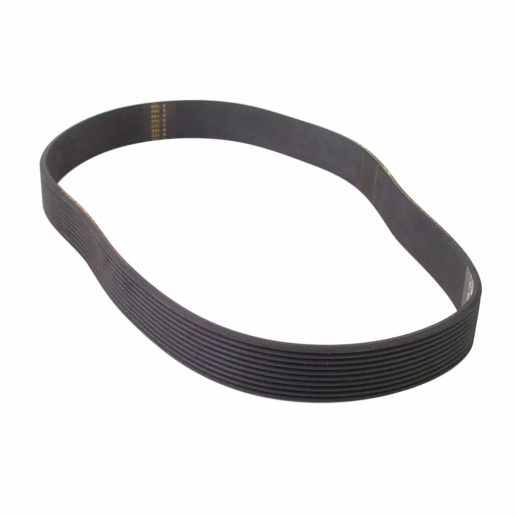 Drive Motor Belt, Poly v