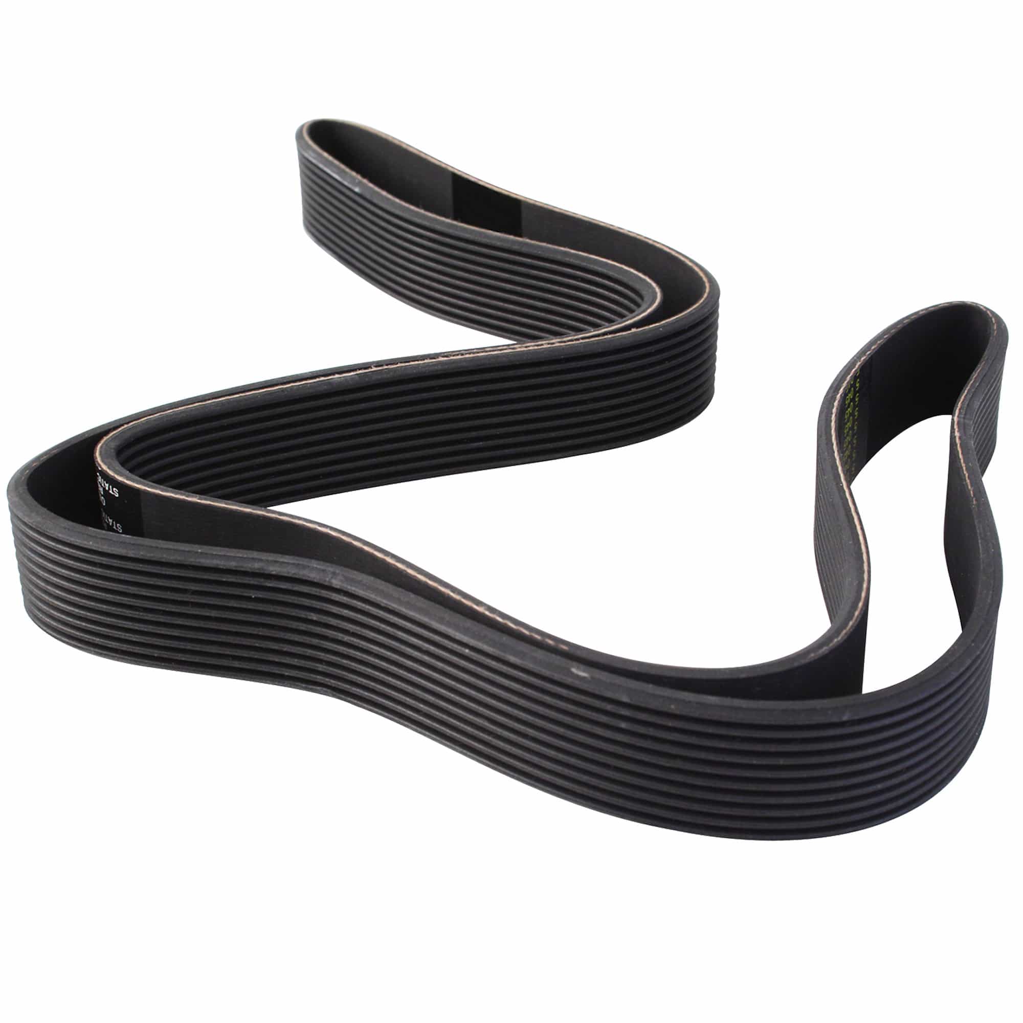 Primary Drive Belt, Cybex 530C/530r