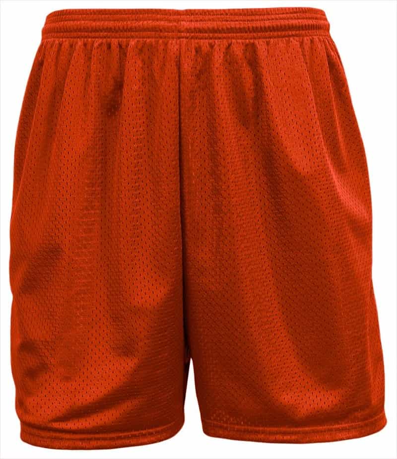 5" Lined Tricot Mesh Shorts