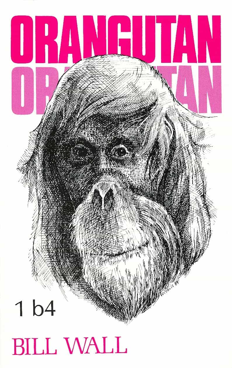 Orangutan Chess Opening
