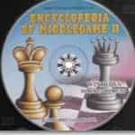 Encyclopedia of Middlegame II
