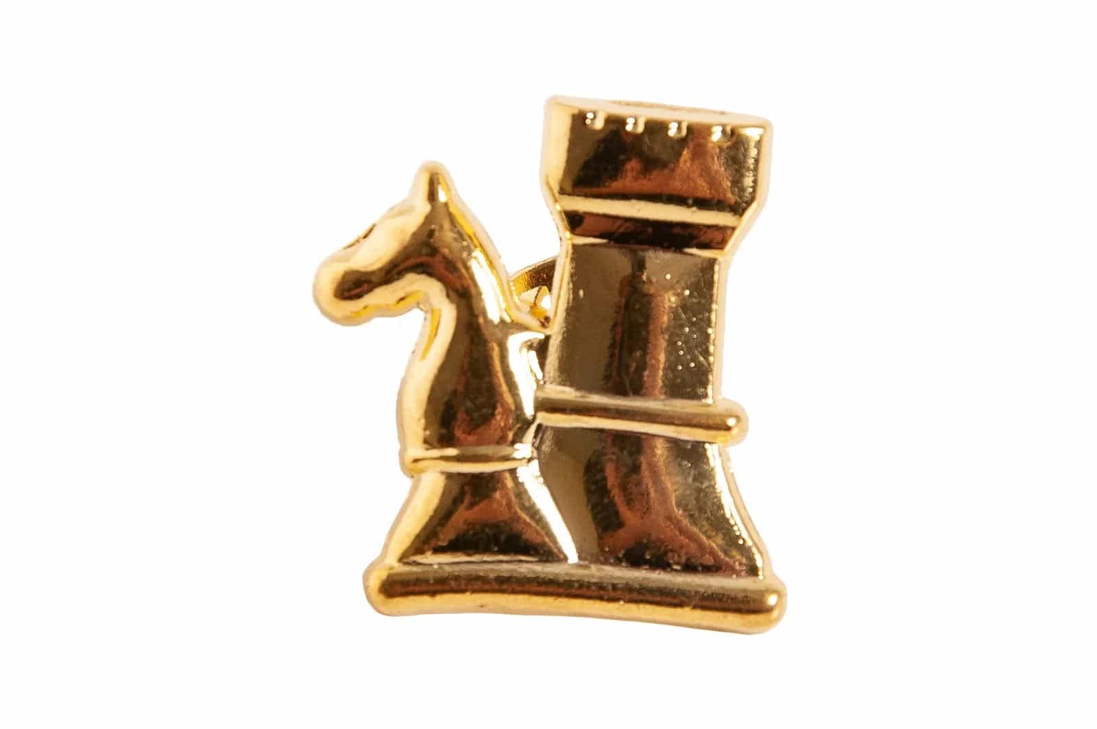 Knight and Rook Chess Pin