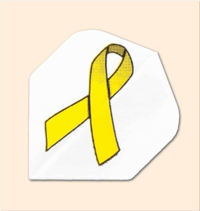 Charity Flight