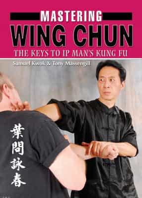 Mastering Ip Man Wing Chun Kung Fu Book