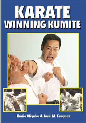 Karate Winning Kumite