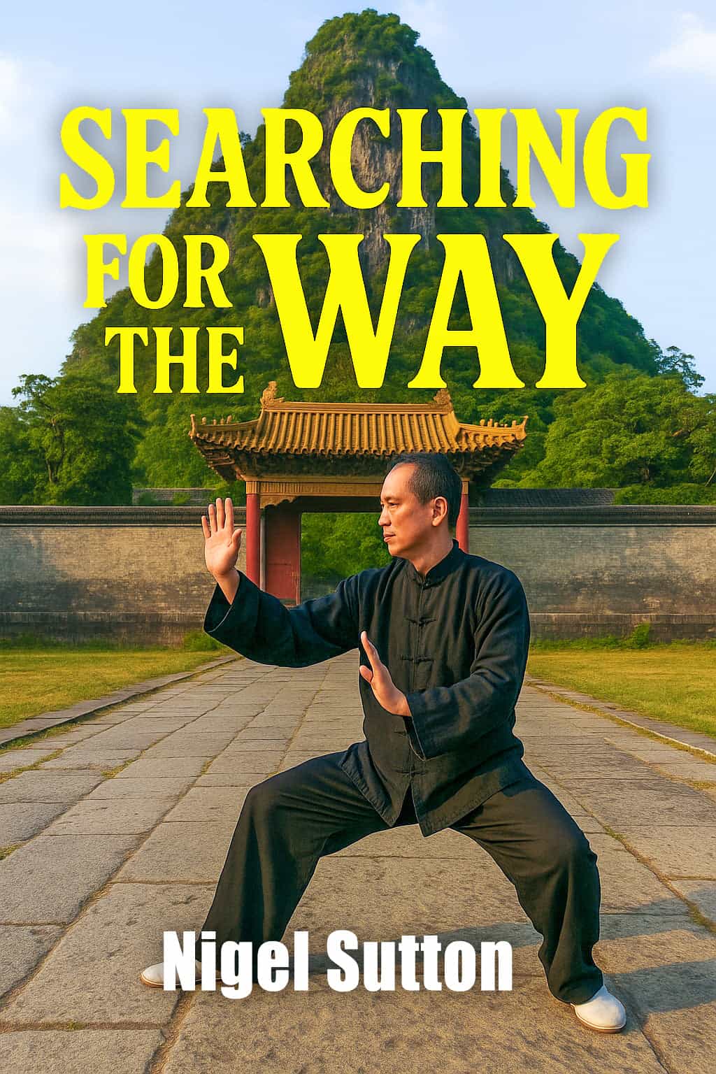 Searching For Way by Nigel Sutton