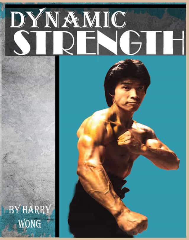 Dynamic Strength Training Kung Fu San Soo by Harry Wong