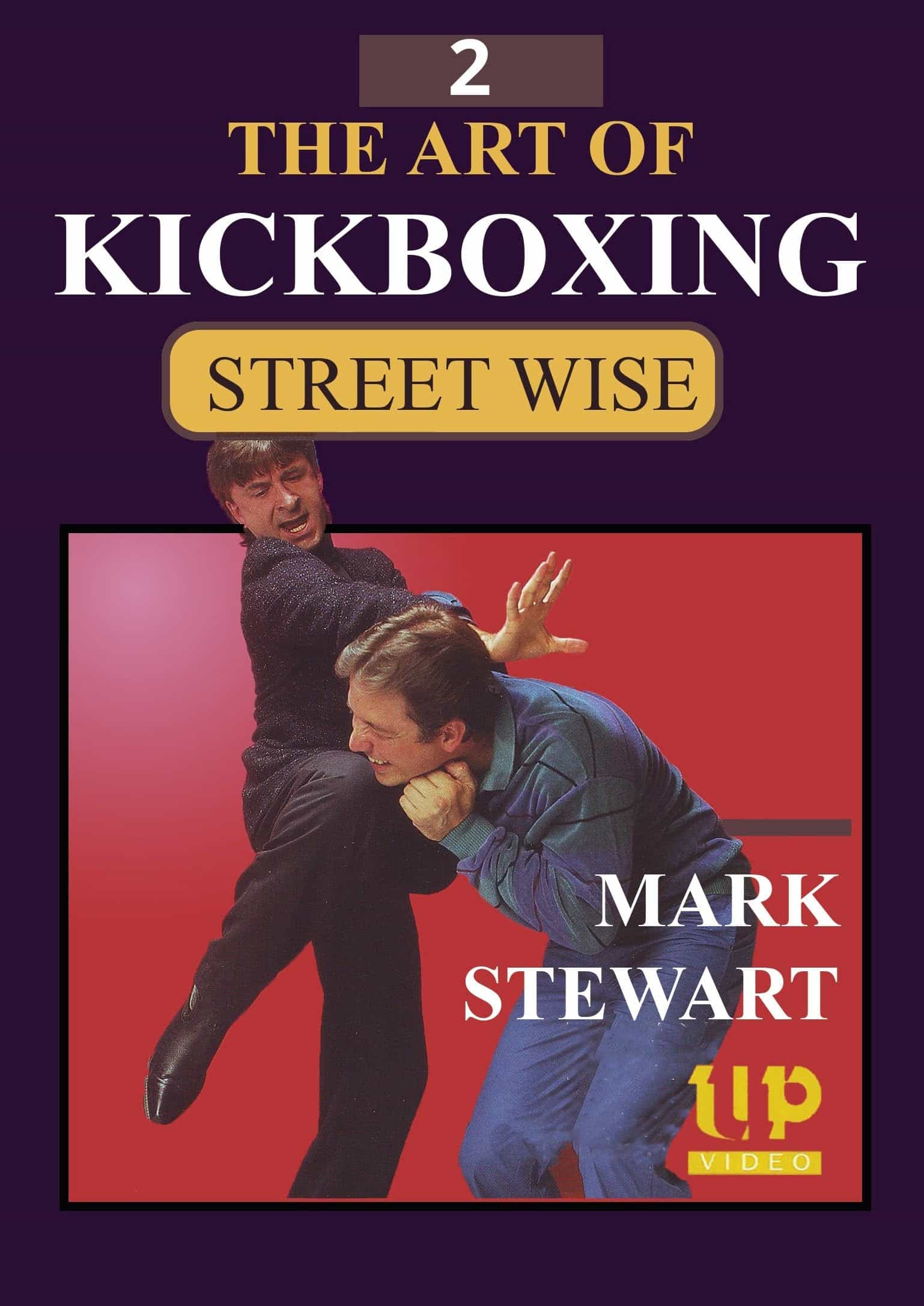 Art Of Kickboxing #2: Street Self Defense DVD