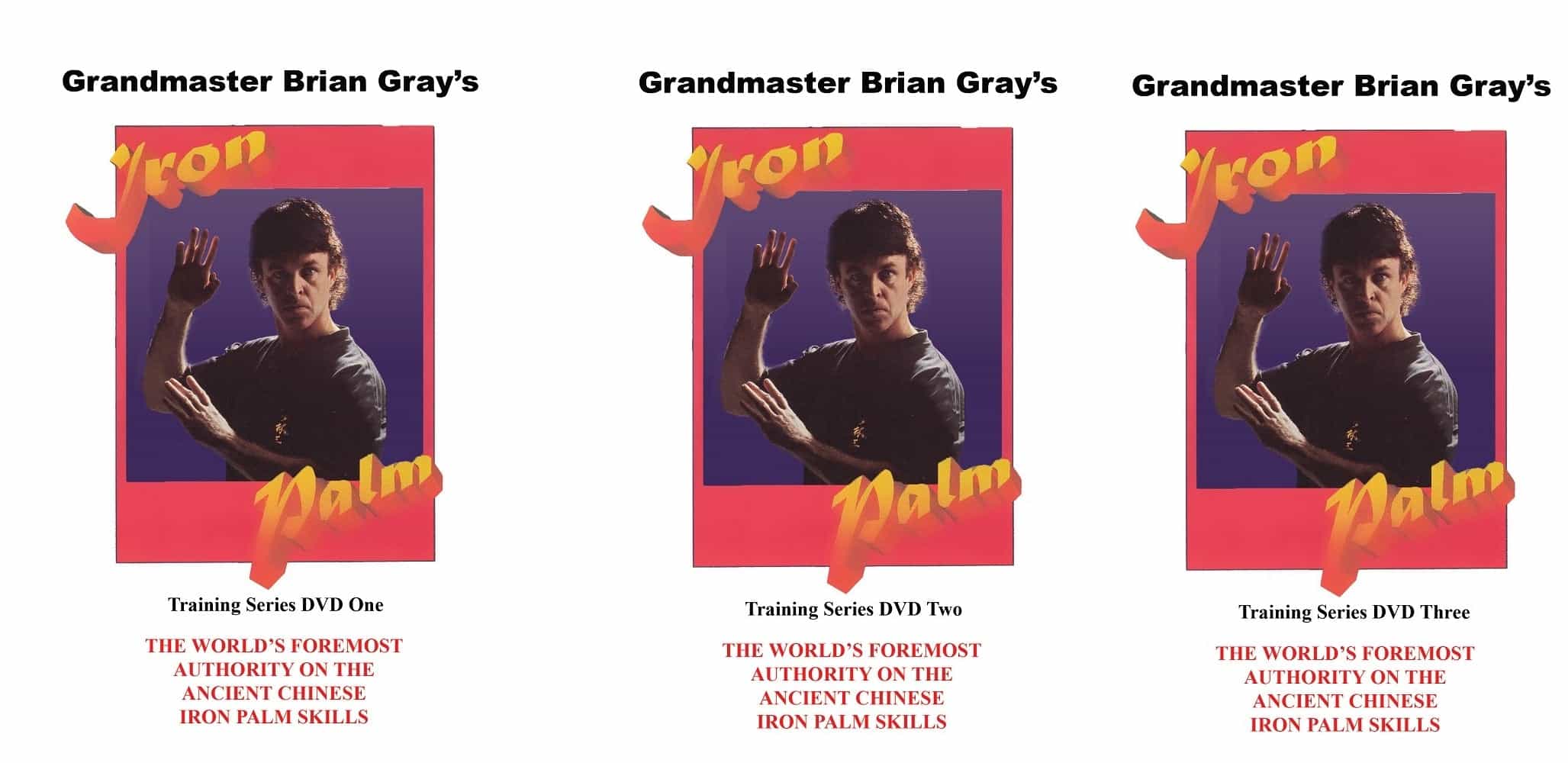 3 Dvd Set Kung Fu Iron Palm Training A Complete Course By Gm Brian Gray, Dvds