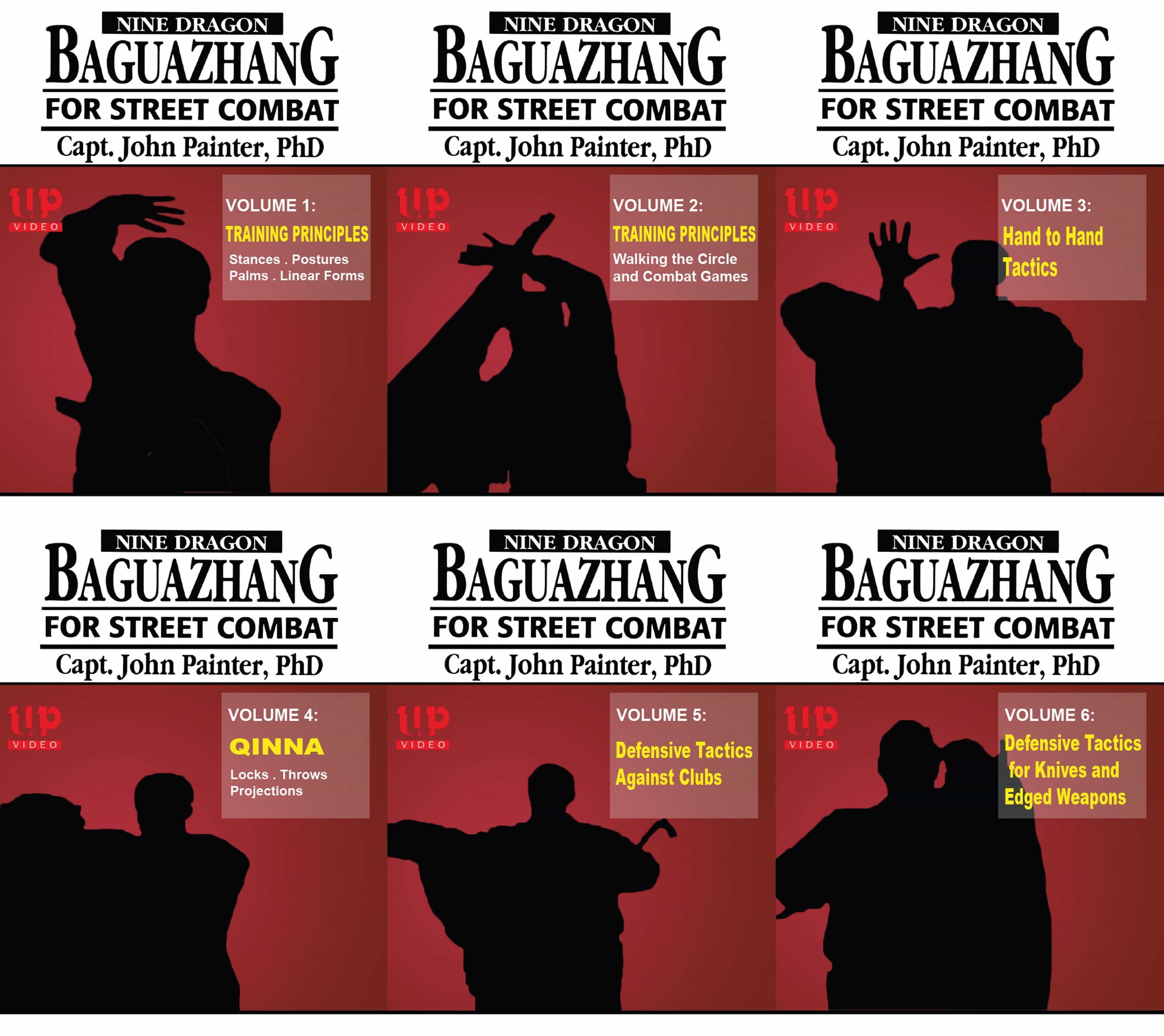 Nine Dragon Baguazhang Street Combat 6 DVD Set