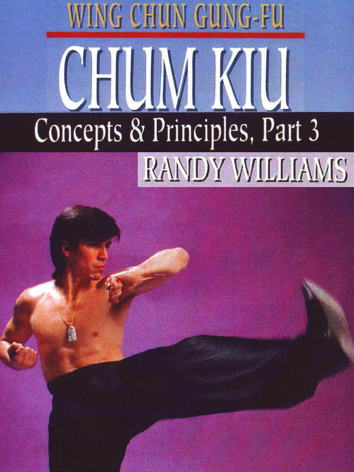 Wing Chun Gung Fu Chum Kiu Concepts & Principles #3 DVD