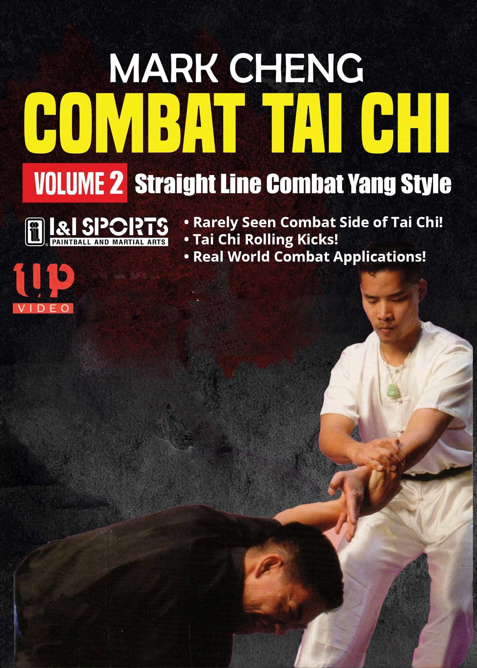 Combat Tai Chi #2: Straight Line Combat
