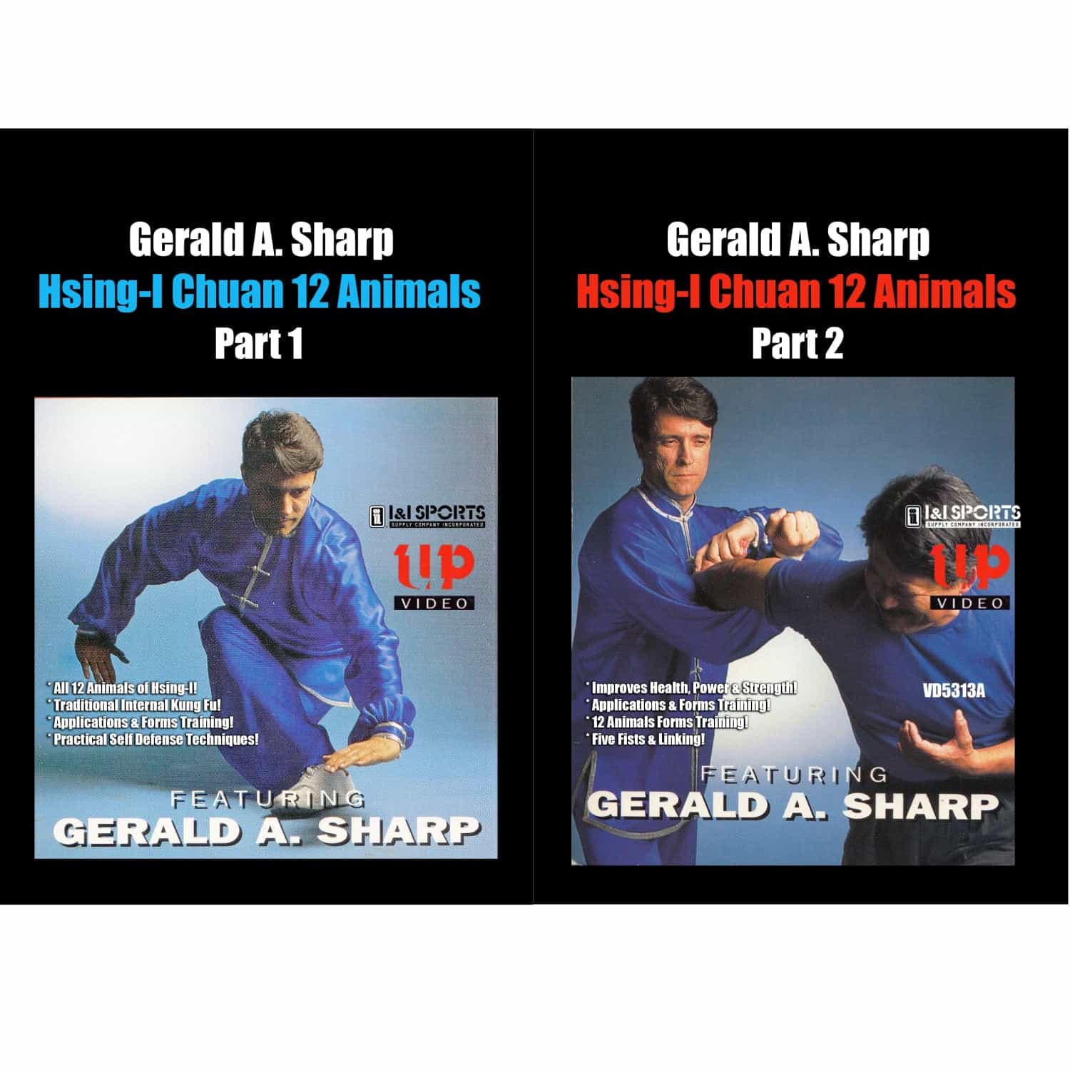 2 Dvd Set Hsing-I Chuan 12 Animals - Gerald A. Sharp, Dvd