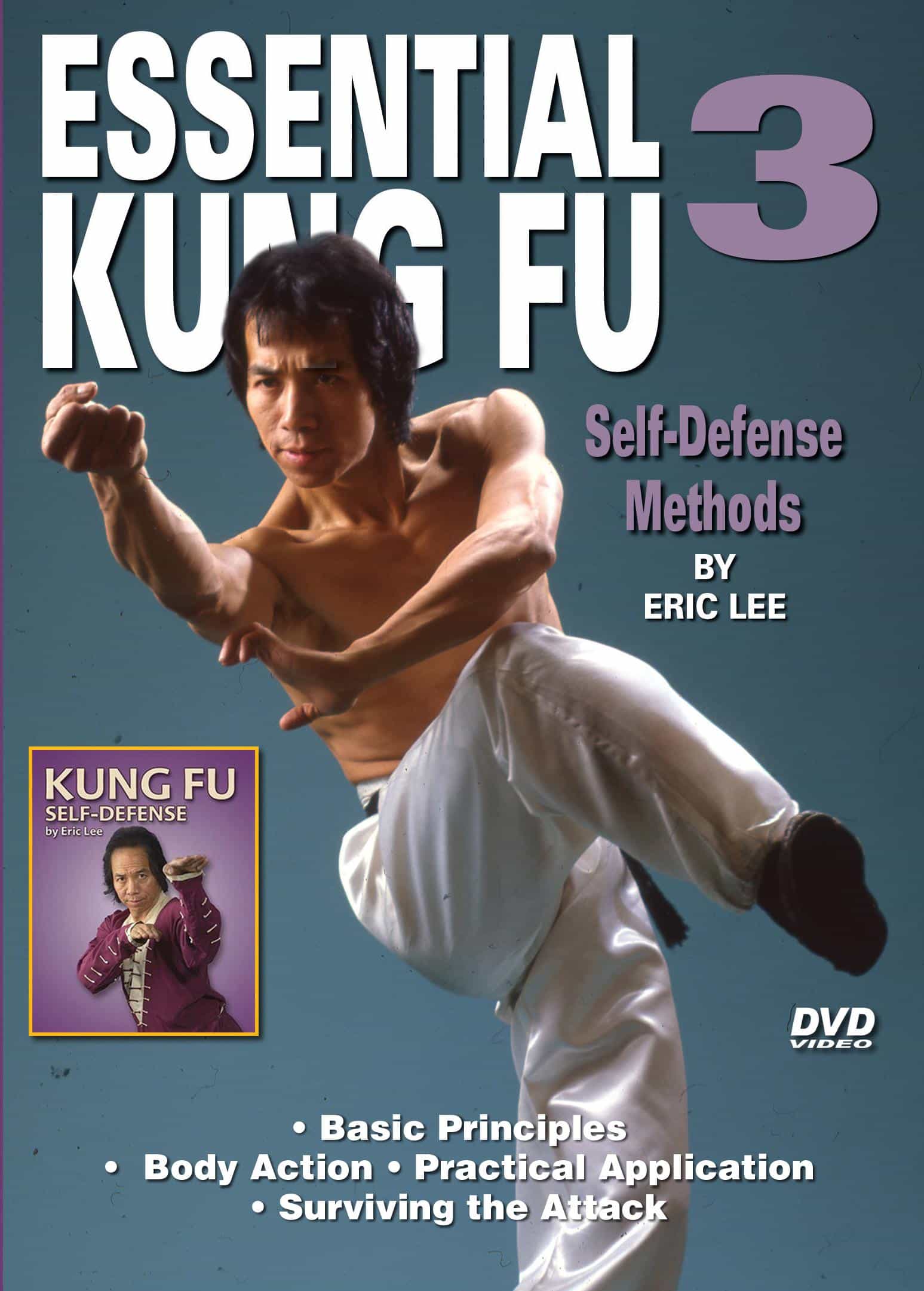 Essential Shaolin Kung Fu #3 Self Defense For Life & Death Dvd Gm Eric Lee