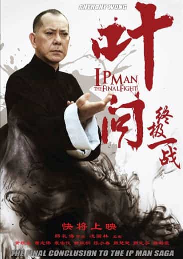 Ip Man Final Fight Movie DVD