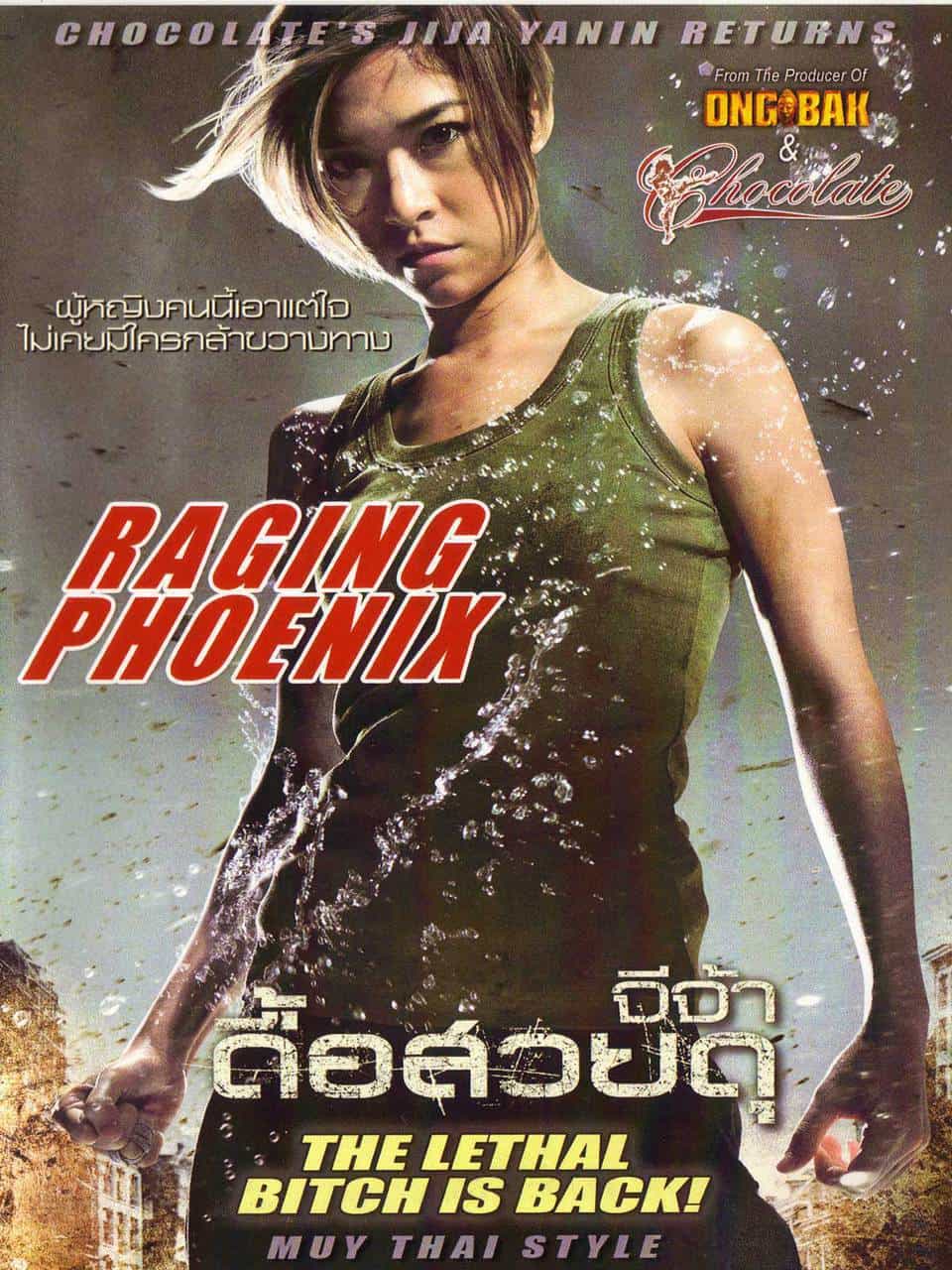 Raging Phoenix Muay Thai DVD