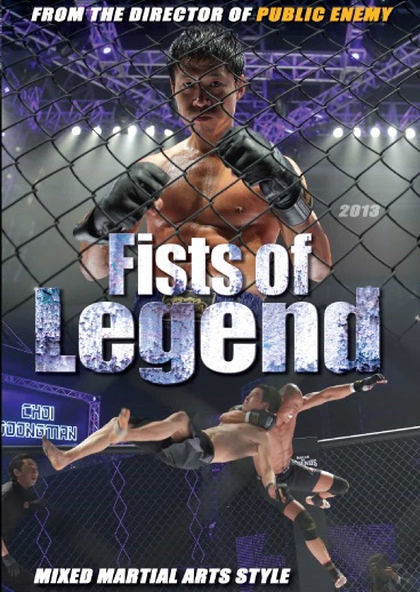 Fists Of Legend 2013 DVD