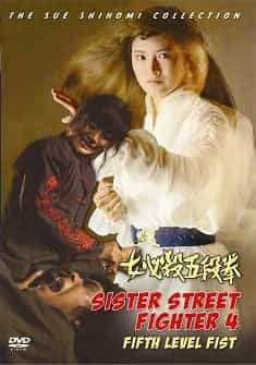 Sister Street Fighter #4 Fifth Level Fist DVD