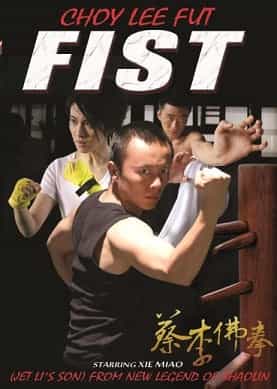 Choy Lee Fut Fist Hong Kong Kung Fu Action Movie DVD