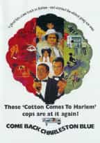Come Back Charleston Blue DVD
