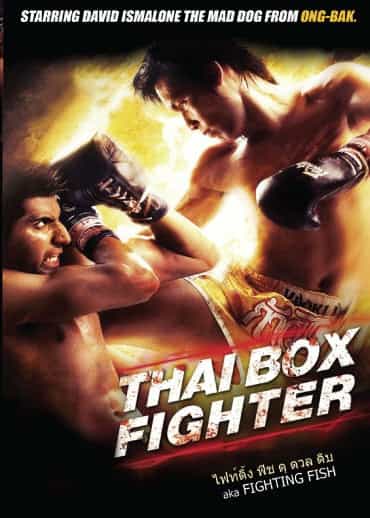Thai Box Fighter Fighting Fish DVD