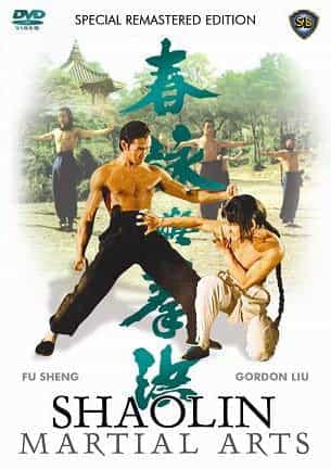 Shaolin Martial Arts Hong Kong Kung Fu Action DVD
