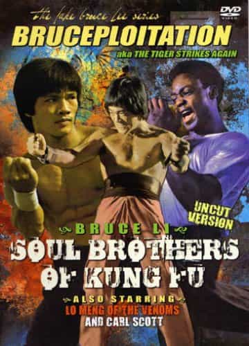 Tiger Strikes Again! Bruce Li Soul Brothers Of Kung Fu Movie DVD Uncut 1977