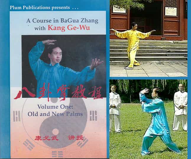 2 Dvd Set Courses In Bagua #1 & #2 Old New Palms Prof Kang Ge Wu