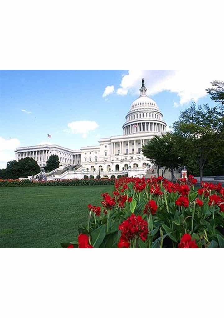 1999 U.S. Capitol Classics Karate Martial Arts Tournament DVD