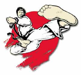 2003 Bluegrass Nationals Karate Martial Arts Tournament DVD