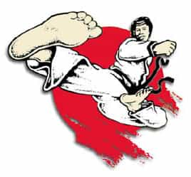2005 Bluegrass Nationals Karate Tournament DVD