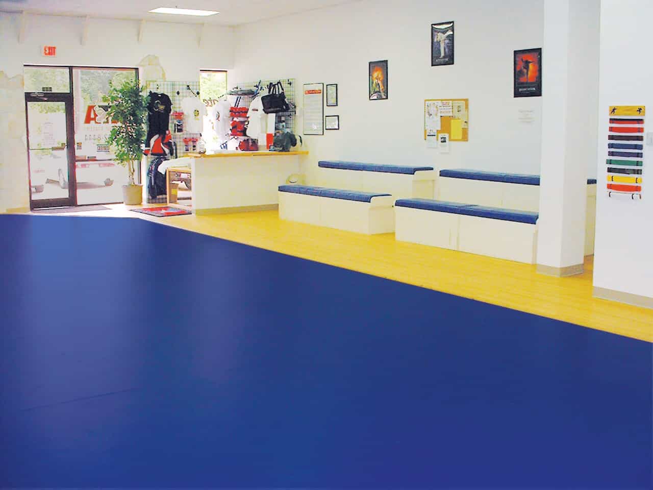 Martial Arts Seamless Flooring Tarp Only