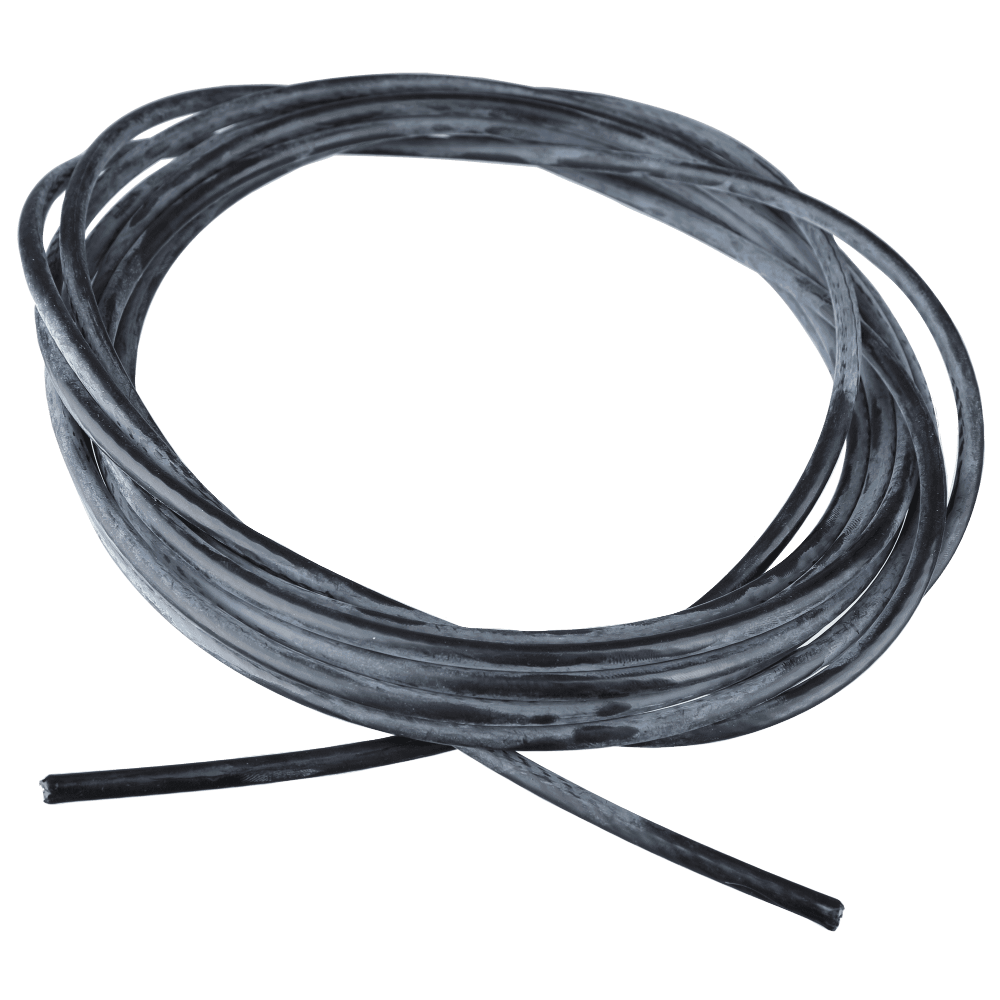 Cable Biceps Curl, Star Trac