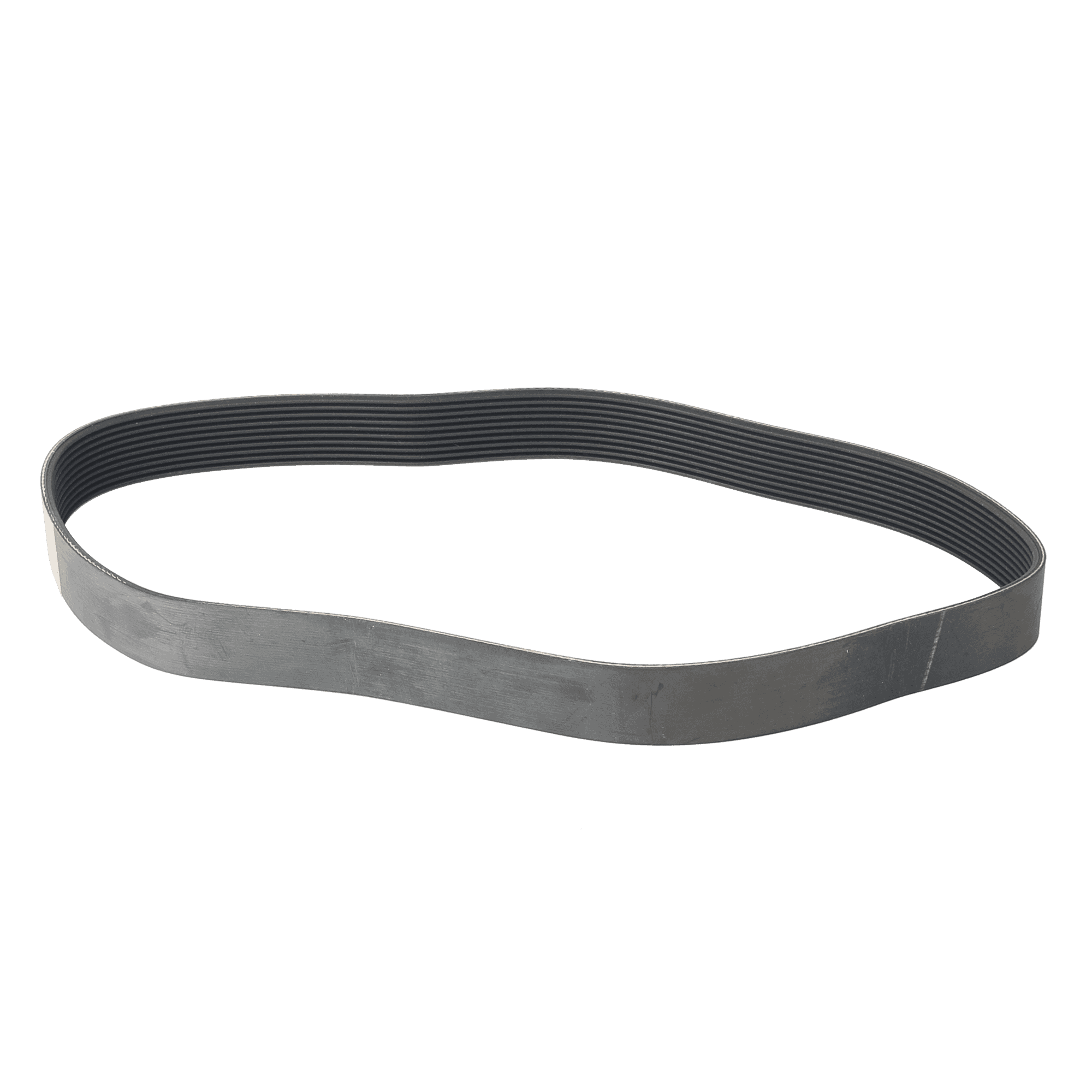 Lifefitness J-Series 10 Rib Belt