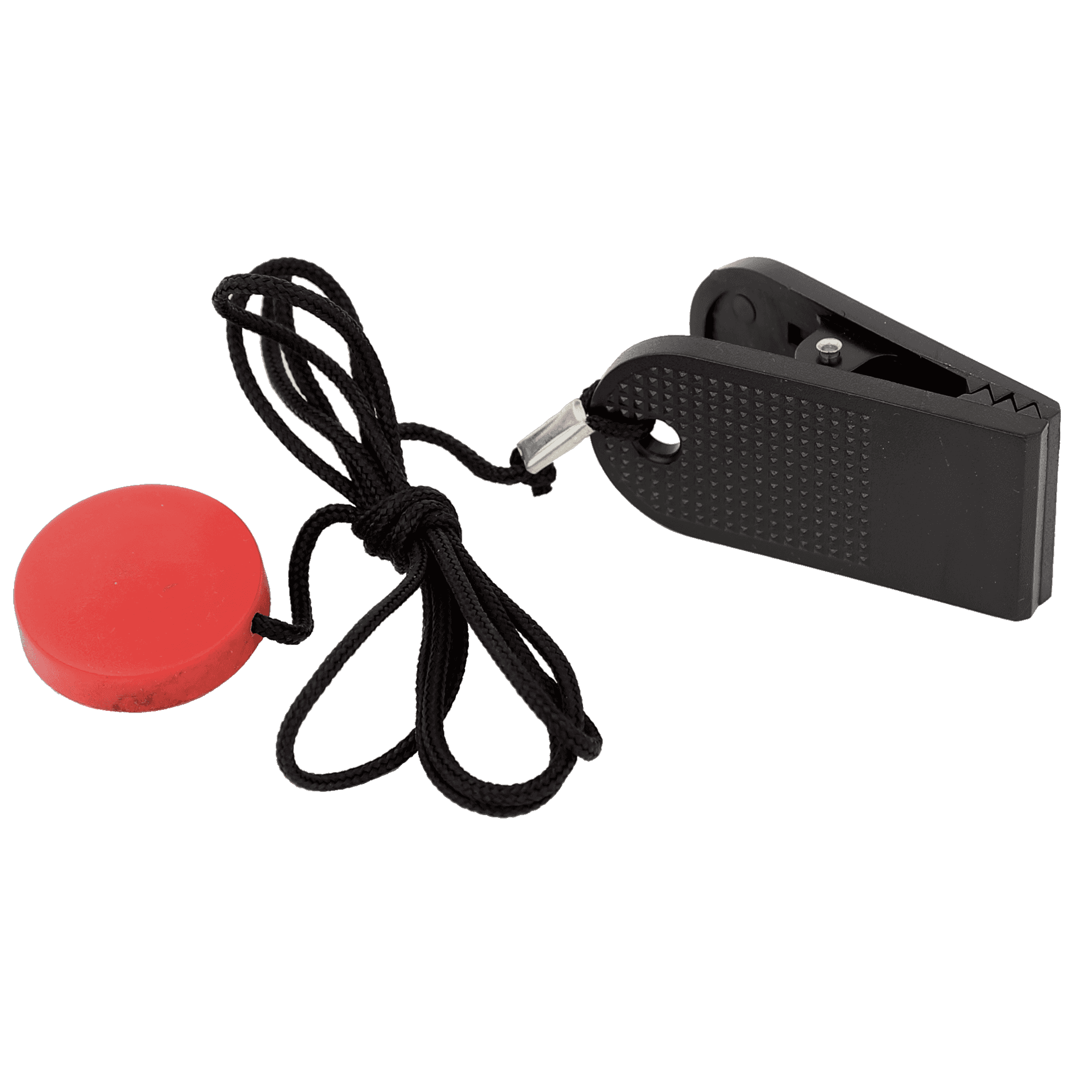 Horizon Fitness Safety Key Set