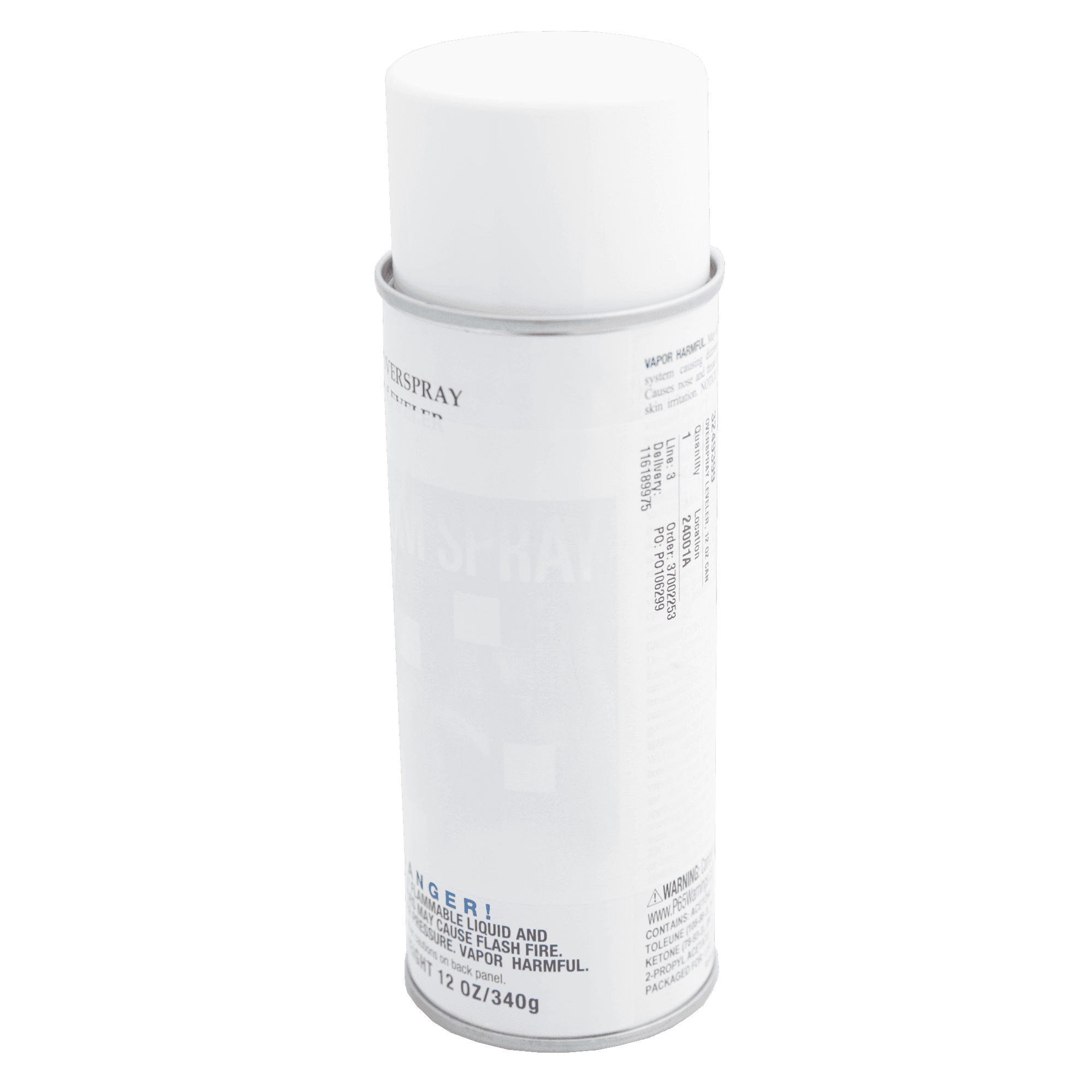 Touch-Up Paint, Overspray Leveler, 12 Oz Can, Lifefitness