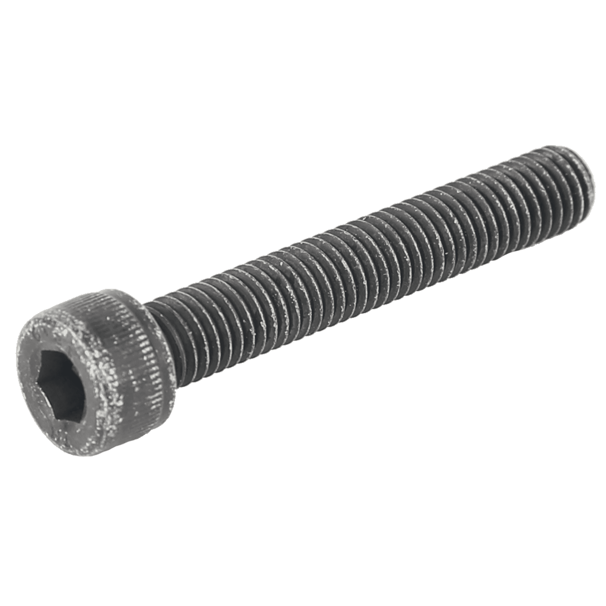 M8 X 1.25-6G6gx050 Din Hxs, Lifefitness