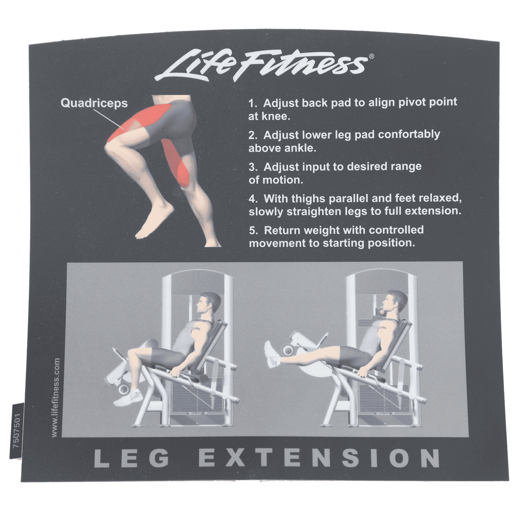 Lifefitness Fzle Placard Label