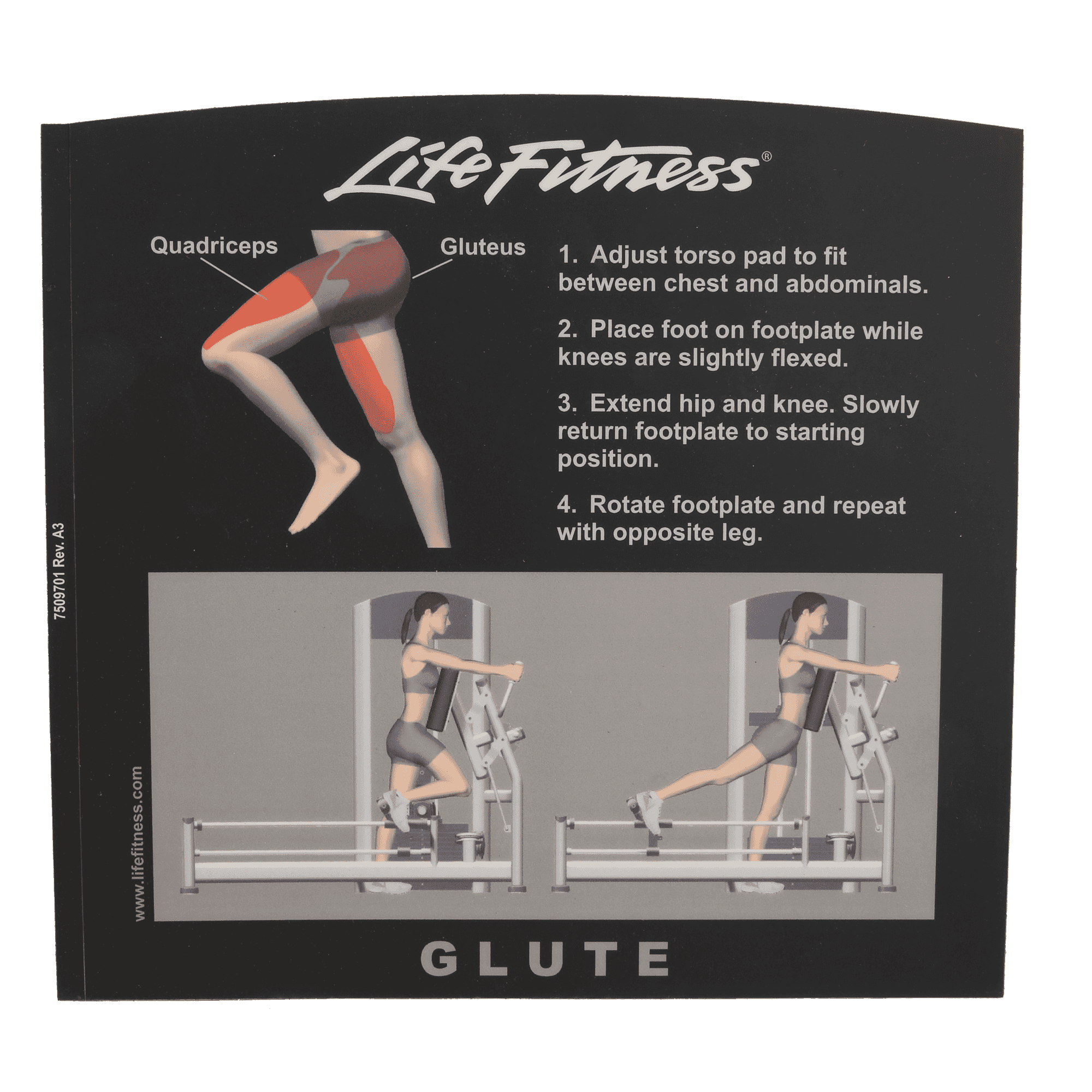 Lifefitness Label, Fzgl Placard Eng
