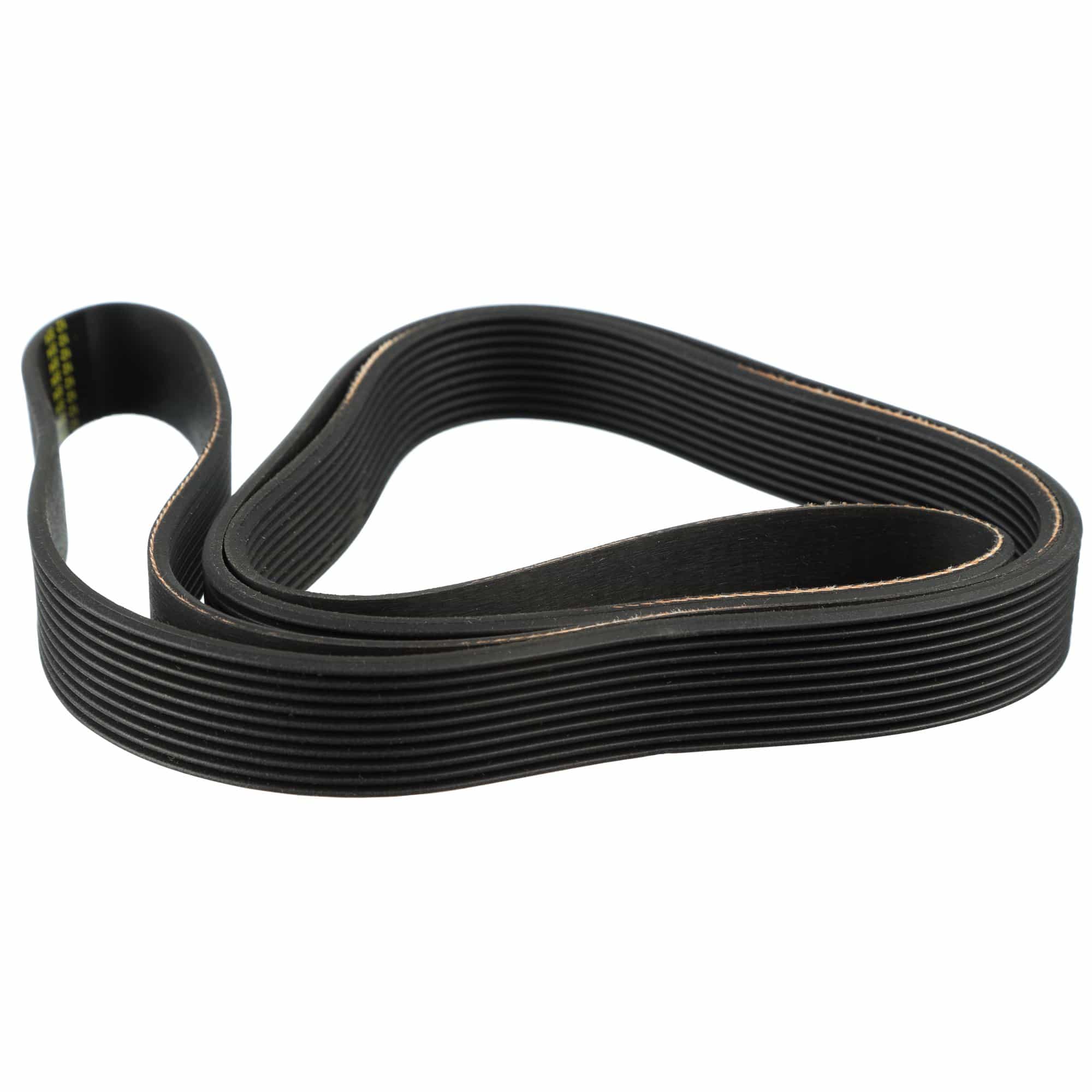 Drive Belt, 10 Rib, Octane Fitness