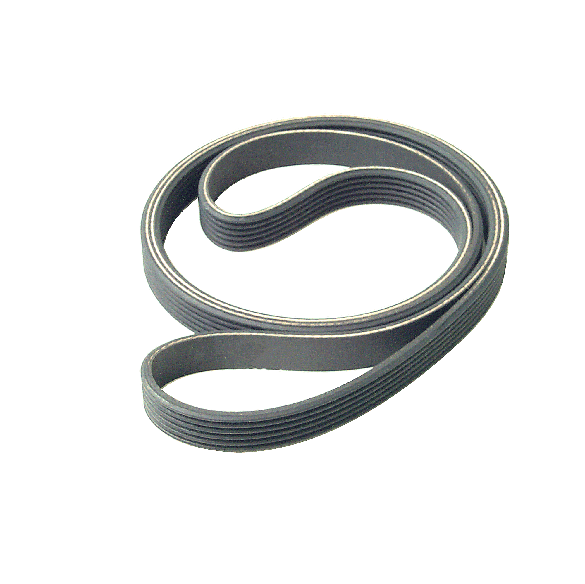 6 Rib 49 Inch Lifefitness Belt