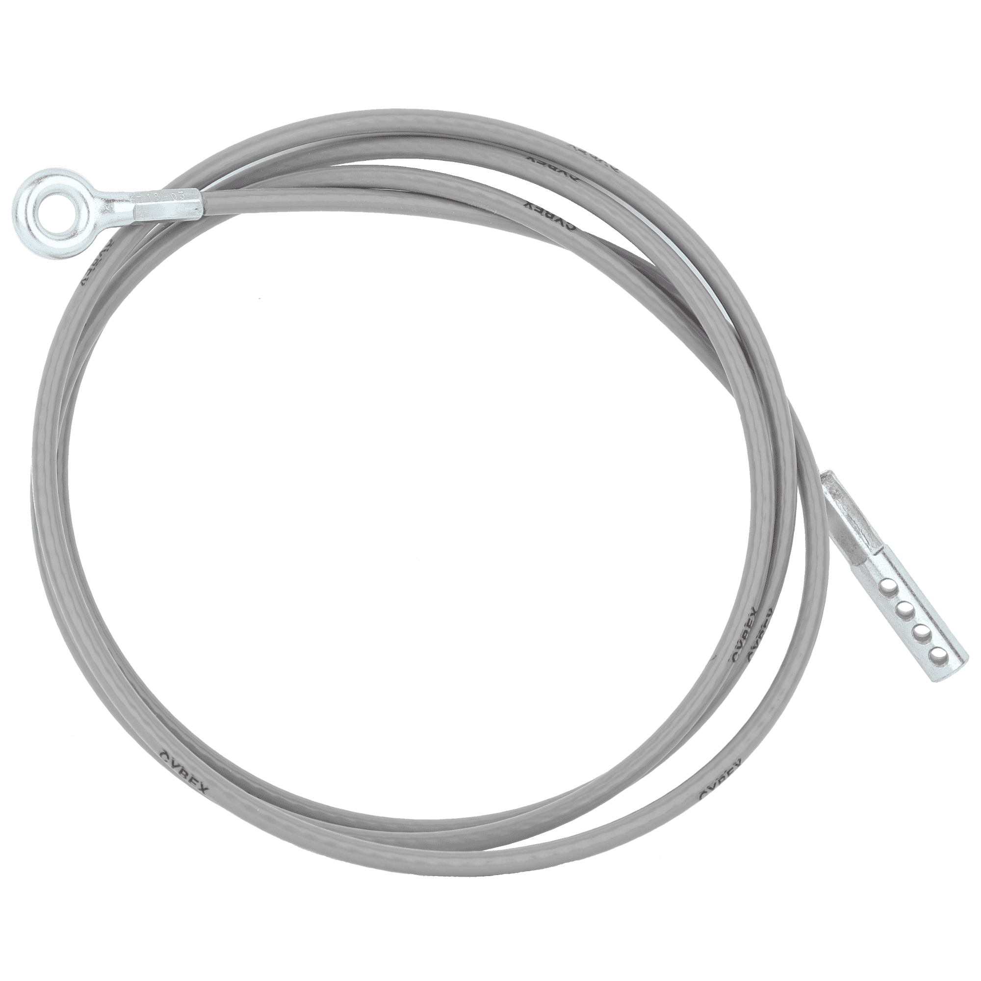 Cybex Jungle Gym Lat Pull Cable