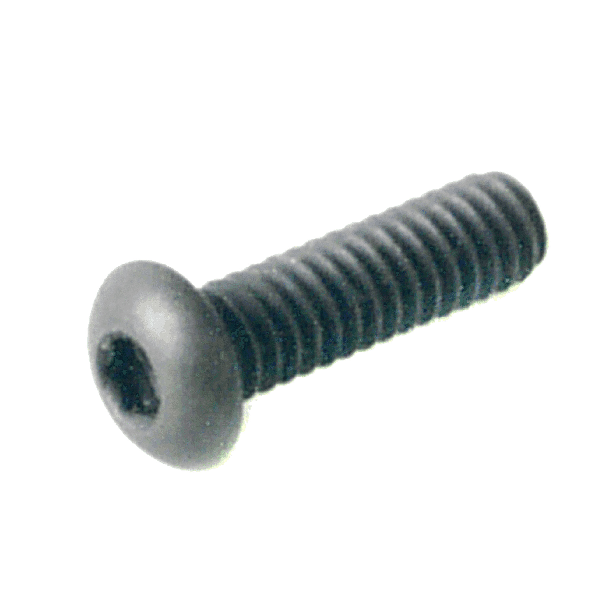 Lifefitness Screw for End Cap