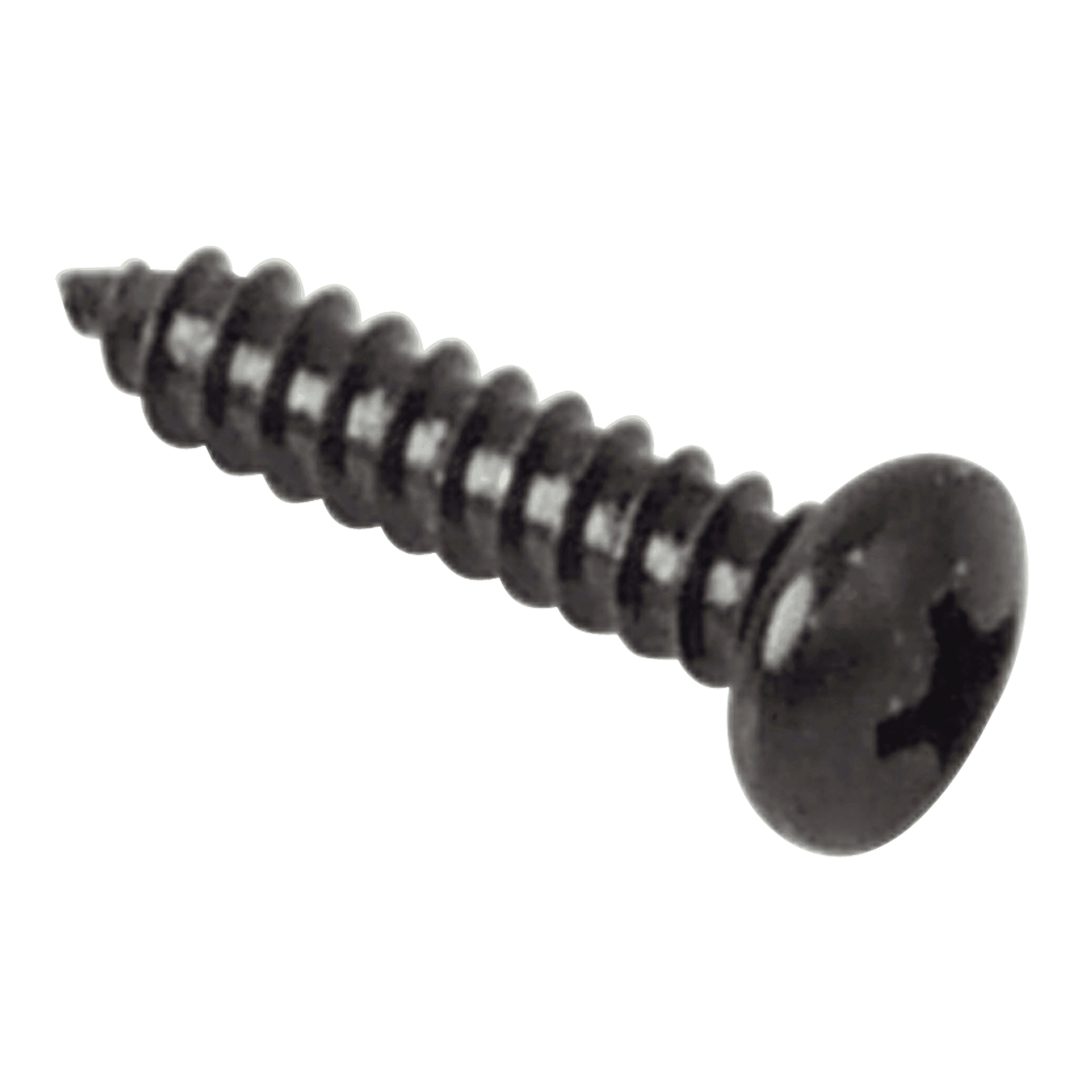 Lifefitness Replacement Screw, Phillips Head, #6 x 3/4"